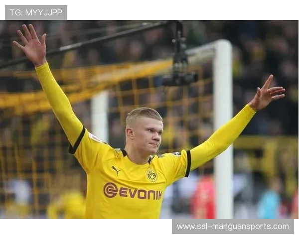 新生代的崛起：哈兰德、贝林厄姆的首届世界杯期待